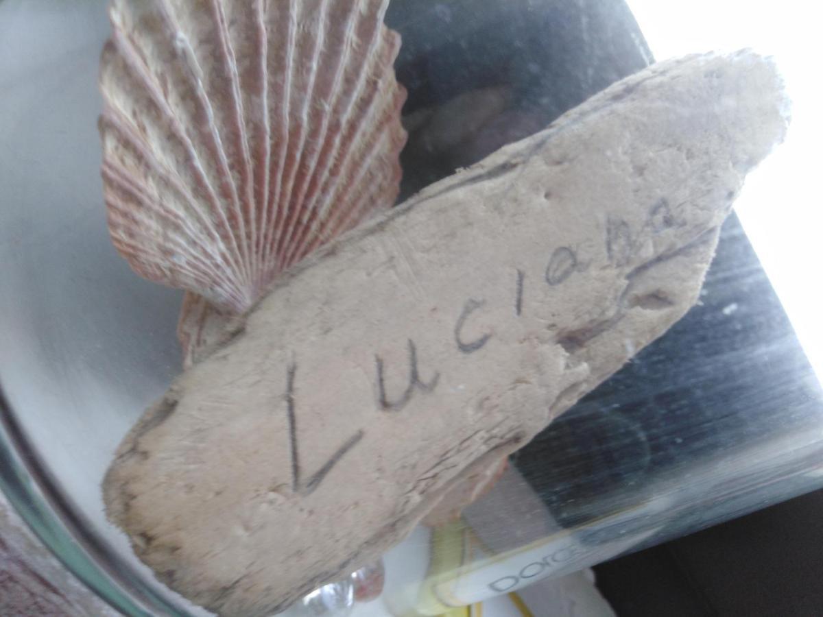 Apartment Luciana