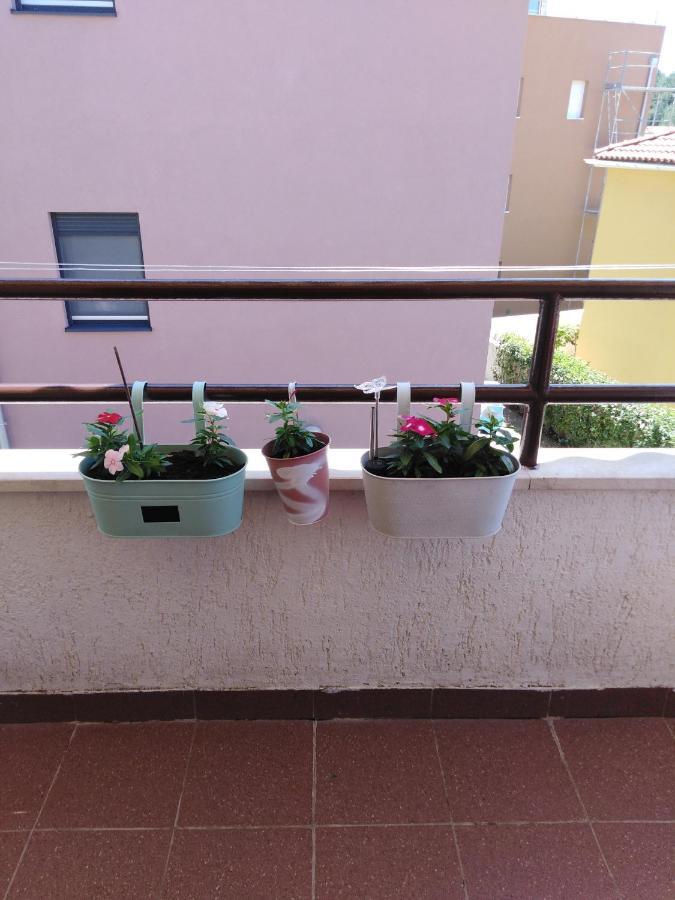 Apartment Luciana Zadar